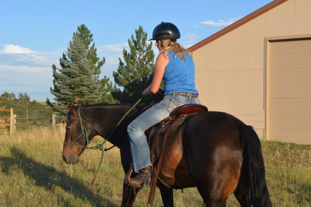 Setting off for Sky's favorite job - trail riding