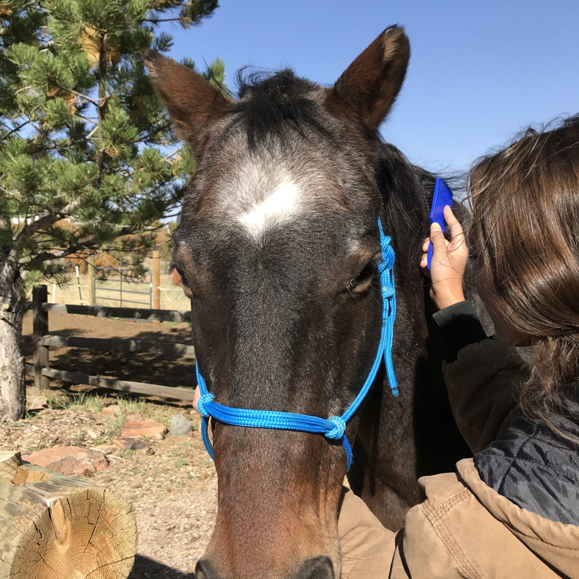Sky's Profile - IMG_0465
